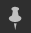 pin icon
